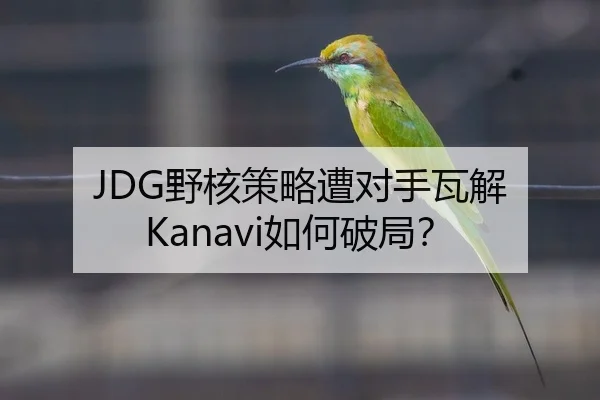 JDG野核策略遭对手瓦解 Kanavi如何破局？
