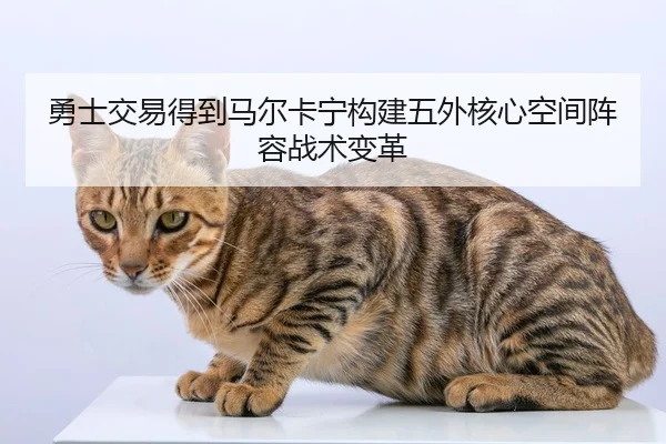 勇士交易得到马尔卡宁构建五外核心空间阵容战术变革